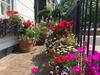 Apartamentos Central 2br Family Home Near Tower Bridge
