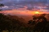 Hotel Ficus Sunset Suites