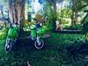 Hostal Bloom Garden Guesthouse