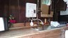Hostal Kyo Machiya Guest House Makuya