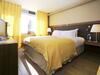 Hotel Sofitel Lyon Bellecour