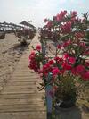 Apartamento Sunrise Beach Residence