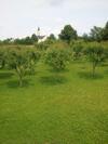 Hostal Guest House Jandric