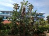 Aparthotel Area Blue Beach Apartments