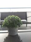 Apartamento �tico Centro Avenida Libertad