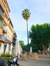 Apartamento Paseo De La Victoria