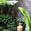 Hostal Pasteur Beautiful Luxury Home