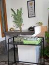 Calda Homestay Syariah