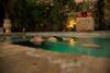 Hotel Hospeder�a Ba�os Arabes de C�rdoba Dos