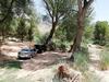 Agroturismo Casa Rural E Puente Del Segura