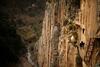 Casa Rural La Teja (caminito Del Rey)