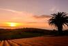 Finca Con Piscina En Doni�os