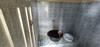 Albergue Natural Stone Homestay Syariah