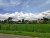 Hostal Narti Homestay