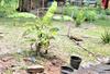 Albergue Roto Homestay Syariah