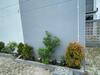 Villa Oasis Penthouse In Rice Field