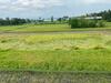 Villa Oasis Penthouse In Rice Field