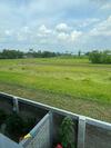 Villa Oasis Penthouse In Rice Field