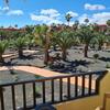 Apartamento Oasis Royal F320