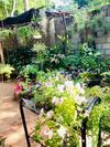 Ossa Home Stay