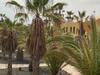 Apartamento Oasis Papagayo 27b
