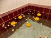 Hostal Pension Todoroki - Vacation Stay 09895v