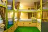 Big Tree Hostel