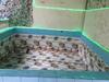 Bed & Breakfast Bnb Royal Tourist House