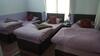 Bed & Breakfast Bnb Royal Tourist House
