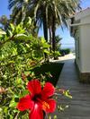 Villa Denia Costa Blanca