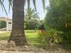 Villa Palmera Playa Almadrava, Els Poblets , Denia