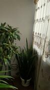 Apartamento ??????????? ?? ?????????