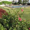 Apartamento Estudio A 10 Minutos Del Puerto Banus