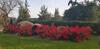 Apartamento Parque Botanico Resort & Country Club