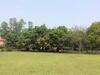 Hotel Meghauli Wildlife Resort
