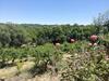 Finca El Palomar