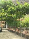 Casa La Gorona