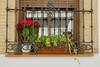 Apartamento Casa Rural Sierras De Gaucin