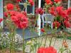Villa Hazelcreek Cottages