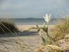 Apartamento Resid. Balea Mar�tima