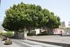 Apartamento Y �tico Zona Rural