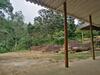 Rainforest Edge View Villa
