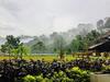 Hotel Tea Garden Eco Villas