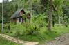 Lodge Canyon Jungle Stay