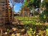 The Burrow Dalat