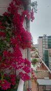 Apartamento Gij�n Playa Zona La Arena Con Desayuno