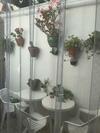 Apartamento Alhambra - Cuesta Rodrigo
