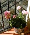 Apartamento Escapadas Romanticas En Granada Jacuzzi