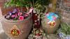Chishang Michelan Home Stay