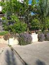 Apartamento Valentine House